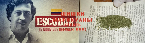 молекула духа Михайловск