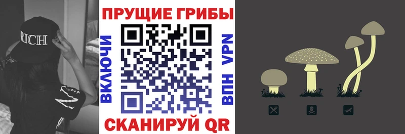 kraken сайт  сколько стоит  Пролетарск  Галлюциногенные грибы Cubensis 
